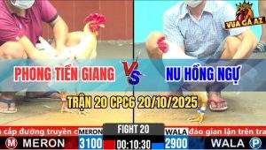 Trận 20 CPC6 20/10/2025 - Bướm Lá Siết Mấy Chân Gà Úa Anh Nu Bung Chạy
