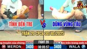 Trận 20 CPC6 30/10/2025 - Gà Bướm Anh Dũng Chết Giả Phản 5 Lai Quá Hay