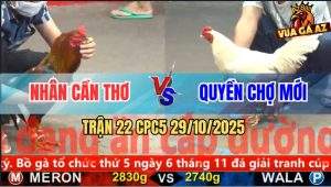 Trận 22 CPC5 29/10/2025 - Anh Nhân Cần Thơ Và Anh Quyền Chợ Mới
