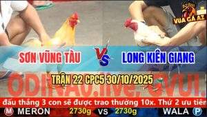Trận 22 CPC5 30/10/2025 - Anh Sơn Vũng Tàu Và Anh Long Kiên Giang