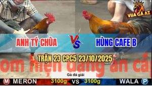 Trận 23 CPC5 23/10/2025 - Anh Tý Chùa Gặp Anh Hùng Cafe B