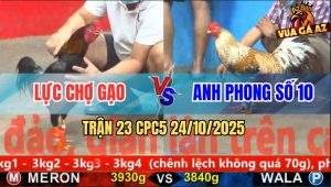 Trận 23 CPC5 24/10/2025 - Anh Lực Chợ Gạo Và Anh Phong Số 10