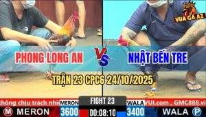 Trận 23 CPC6 24/10/2025 - Cú Đá Giấu Cựa Xanh Vô Lọt Tim Chết Tươi
