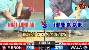 Trận 23 CPC6 26/10/2025 - Bông Đá Toàn Chân Tử Bướm Đập Cánh Giãy Chết