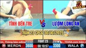 Trận 23 CPC6 30/10/2025 - Đám Bướm Hiệu Long An Đâm Cựa Như Sấm Sét