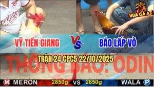 Trận 24 CPC5 22/10/2025 - Anh Vỹ Tiền Giang Và Anh Báo Lấp Vò
