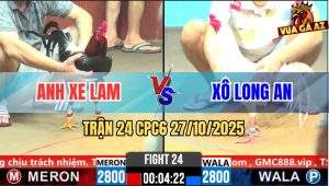 Trận 24 CPC6 27/10/2025 - Bướm Đá Chân Chí Mạng Điều Dính Nằm Xòe Cánh