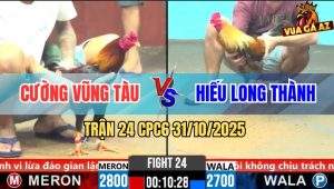 Trận 24 CPC6 31/10/2025 - Điều Đá Liên Hoàn, Gà Cú Đứng Hình Bung Chạy