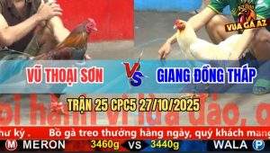 Trận 25 CPC5 27/10/2025 - Anh Vũ Thoại Sơn Và Anh Giang Đồng Tháp