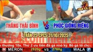 Trận 25 CPC5 31/10/2025 - Anh Thắng Thái Bình Và Anh Phúc Giồng Riềng