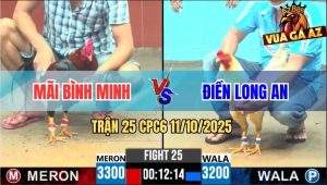 Trận 25 CPC6 11/10/2025 - Điều Cọp Anh Mãi Đá 1 Hơi Úa Lọt Bung Chạy