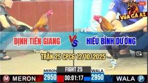 Trận 25 CPC6 12/10/2025 - Đỏ Đâm Cựa Sâu, Xanh Nằm Thoi Thóp Trên Sân