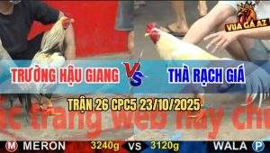 Trận 26 CPC5 23/10/2025 - Gà Chuối Anh Trường Đâm Gà Úa Đi Chao Đảo