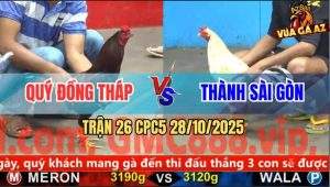 Trận 26 CPC5 28/10/2025 - Anh Quý Đồng Tháp Và Anh Thành Bạc Liêu
