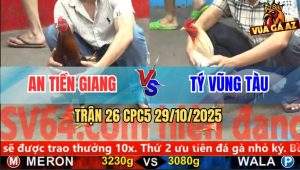Trận 26 CPC5 29/10/2025 - Anh An Tiền Giang Và Anh Tý Vũng Tàu