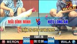 Trận 26 CPC6 11/10/2025 - Gà Điều Anh Hiếu Xấu Xấu Mà Đâm Cựa Như Chỉa