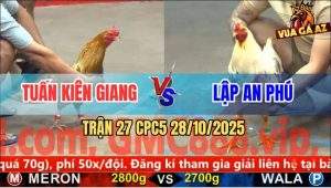 Trận 27 CPC5 28/10/2025 - Anh Tuấn Kiên Giang Và Anh Lập An Phú
