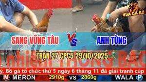 Trận 27 CPC5 29/10/2025 - Anh Sang Vũng Tàu Và Anh Tùng