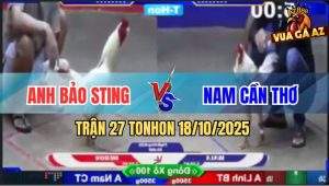 Trận 27 TonHon 18/10/2025 - Bướm Hiệu Bảo Sting Đâm Đối Thủ Ho Ra SiRô