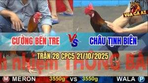 Trận 28 CPC5 21/10/2025 - Anh Cường Bến Tre Và Anh Châu Tịnh Biên