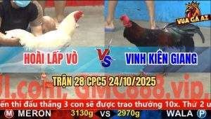 Trận 28 CPC5 24/10/2025 - Anh Hoài Lấp Vò Và Anh Vinh Kiên Giang