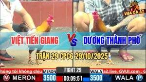 Trận 29 CPC6 29/10/2025 - Khét Nhập Anh Việt Đá 1 Tăng Que Nằm Đống