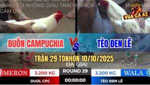 Trận 29 TonHon 10/10/2025 - Anh Đuôn Campuchia Gặp Anh Tèo Đen Lê