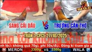 Trận 3 CPC5 27/10/2025 - Anh Sang Cái Dầu Và Anh Trường Cần Thơ