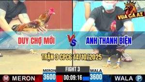 Trận 3 CPC6 14/10/2025 - Anh Duy Bao Bồ, Gà Vàng Đá 1 Chân Có Kết Quả