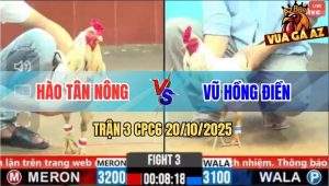 Trận 3 CPC6 20/10/2025 - Bướm Xanh Chặn Chân Nào Đỏ Mất Mạng Chân Đó