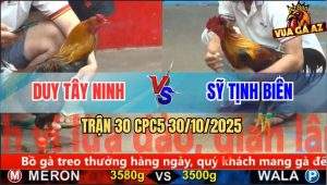 Trận 30 CPC5 30/10/2025 - Anh Duy Tây Ninh Và Anh Sỹ Tịnh Biên