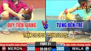 Trận 31 CPC6 25/10/2025 - Xám Chuối Không Có Chân Giết Điều Tán Lại Hư
