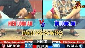 Trận 31 CPC6 26/10/2025 - 2 Con Chụp Vô Đá Cựa Nóng Lạnh
