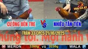 Trận 33 CPC5 21/10/2025 - Anh Cường Bến Tre Và Anh Nhiễu Tân Tiến