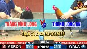 Trận 34 CPC6 26/10/2025 - Gà Điều Vũ 1 Hơi Xanh Que Tự Giận Luôn