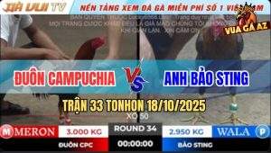 Trận 34 TonHon 18/10/2025 - Xám Cú Bảo Sting Đá Bát 1 Điều Giãy Chết