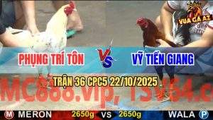 Trận 36 CPC5 22/10/2025 - Anh Phụng Trí Tôn Và Anh Vỹ Tiền Giang