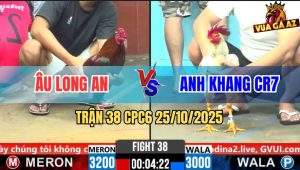 Trận 38 CPC6 26/10/2025 - Gà Bướm Anh Khang Tải Cựa Quá Tốt