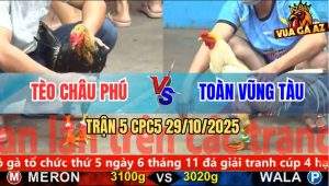 Trận 5 CPC5 29/10/2025 - Anh Tèo Châu Phú Và Anh Toàn Vũng Tàu