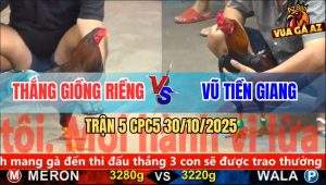 Trận 5 CPC5 30/10/2025 - Anh Thắng Giồng Riềng Và Anh Vũ Tiền Giang
