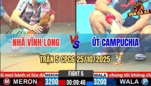 Trận 5 CPC6 26/10/2025 - Điều Xanh Chụp Xiết Mấy Chân Cuối Úa Gục Đầu