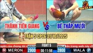Trận 5 CPC6 31/10/2025 - Camelo Không Có Chân Giết Vô Kính Bỏ Miệng
