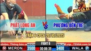 Trận 6 CPC6 20/10/2025 - Gà Que Nhập Vô Đâm Cây Gà Điều Bể Mình Bay Bồ