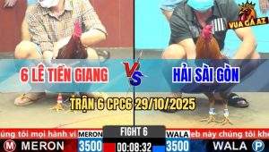 Trận 6 CPC6 29/10/2025 - Vàng Chân Xanh Đâm Điều Bông Chạy La Miệng