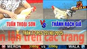 Trận 7 CPC5 22/10/2025 - Anh Tuấn Thoại Sơn Và Anh Thành Rạch Giá