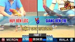 Trận 7 CPC6 11/10/2025 - Điều Cọp Anh Giang Đâm Khét Không Kịp Dỡ Giò