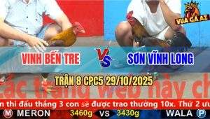 Trận 8 CPC5 29/10/2025 - Anh Vinh Bến Tre Và Anh Sơn Vĩnh Long