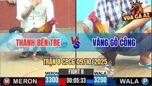 Trận 8 CPC6 9/10/2025 - Điều Cọp Anh Thanh Bến Tre Đá Toàn Đâm Đầu Cần