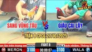 Trận 8 CPC6 27/10/2025 - Điều Bông Anh Sang Đâm Đối Thủ Bò Lê Bò Lết