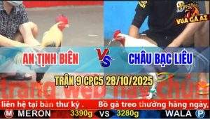 Trận 9 CPC5 28/10/2025 - Anh An Tịnh Biên Và Anh Châu Bạc Liêu